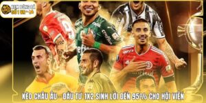 Kèo Châu Âu - Đầu Tư 1X2 Sinh Lời Đến 95% Cho Hội Viên